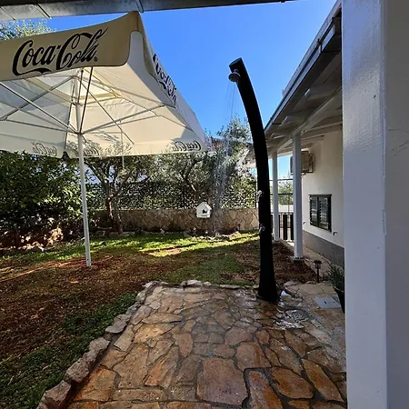 House Roza تروغير